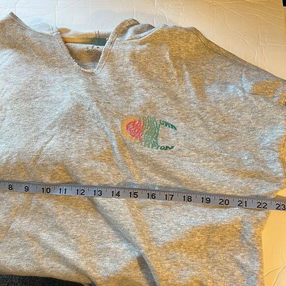 Champion Womens Cropped Gray Hoodie Sweatshirt Rainbow Size Medium - Picture 9 of 9